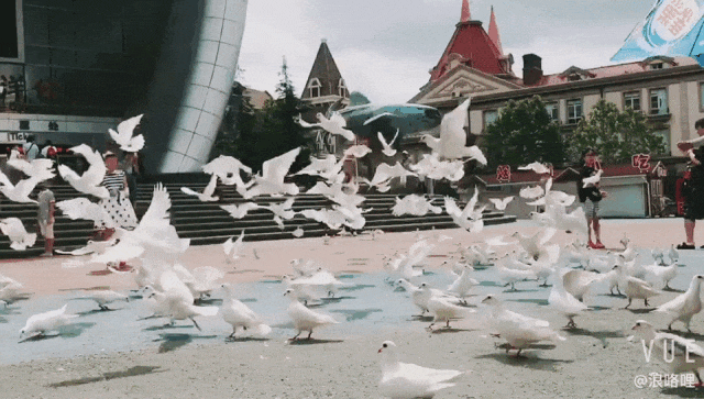 微信图片_20240705081549.gif 微信图片_20240705081549.gif