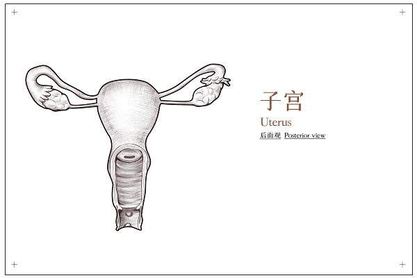 微信图片_20221111171346.jpg 微信图片_20221111171346.jpg