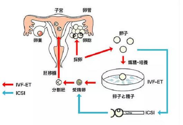 微信图片_20230323094628.png 微信图片_20230323094628.png