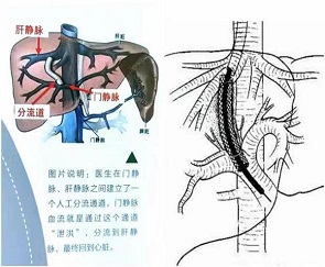 微信图片_20230716100150.jpg