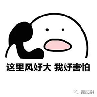 11.png 11.png