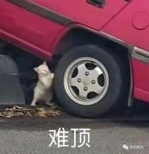 16.png 16.png