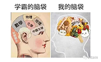 17.png 17.png