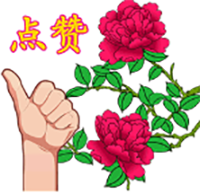 21.png 21.png