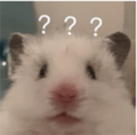 26.png 26.png