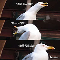 9.jpg 9.jpg