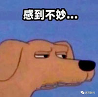 11.jpg 11.jpg