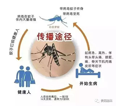 22.jpg 22.jpg
