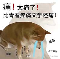 17.jpg 17.jpg