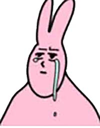 25.jpg 25.jpg