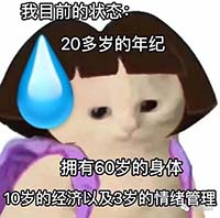 19.jpg 19.jpg