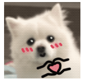微信图片_20231027191418.png 微信图片_20231027191418.png