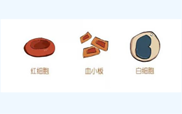 2.png 2.png