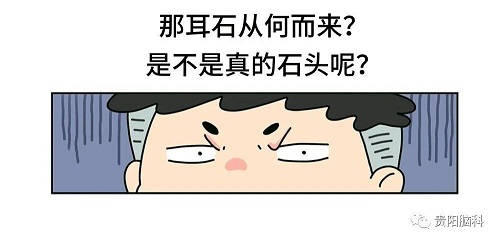 微信图片_20231114135209.jpg 微信图片_20231114135209.jpg