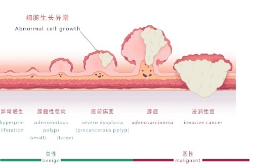 微信图片_20231114135233.jpg 微信图片_20231114135233.jpg