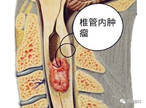 12.png 12.png