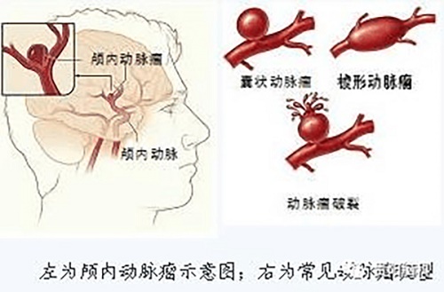微信图片_20231211095022.jpg 微信图片_20231211095022.jpg