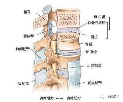 微信图片_20231211102927.jpg 微信图片_20231211102927.jpg