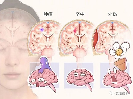 微信图片_20231226201658.jpg 微信图片_20231226201658.jpg