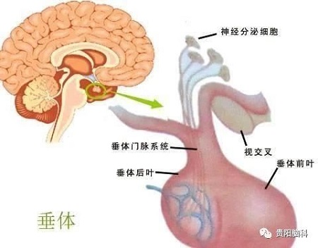 微信图片_20231226201721.jpg 微信图片_20231226201721.jpg