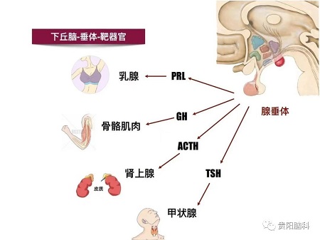 微信图片_20231226201723.jpg 微信图片_20231226201723.jpg