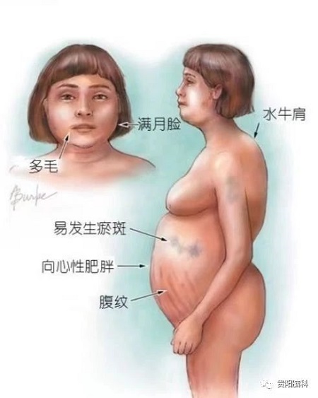 微信图片_20231226201728.jpg