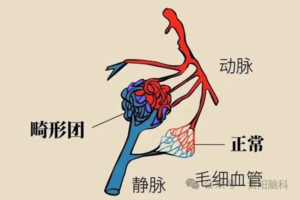 微信图片_20240112115733.jpg