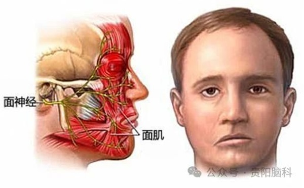微信图片_20240112131310.jpg 微信图片_20240112131310.jpg