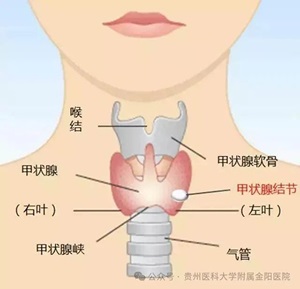 微信图片_20240315094643.jpg 微信图片_20240315094643.jpg