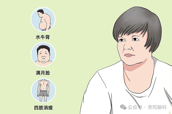 微信图片_20240315094706.jpg 微信图片_20240315094706.jpg