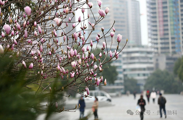 微信图片_20240319195301.jpg 微信图片_20240319195301.jpg