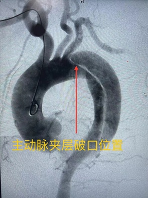 微信图片_20240319195539.jpg