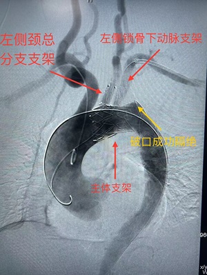 微信图片_20240319195542.jpg 微信图片_20240319195542.jpg