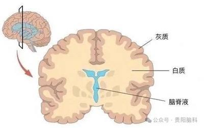 微信图片_20240322115426.jpg 微信图片_20240322115426.jpg