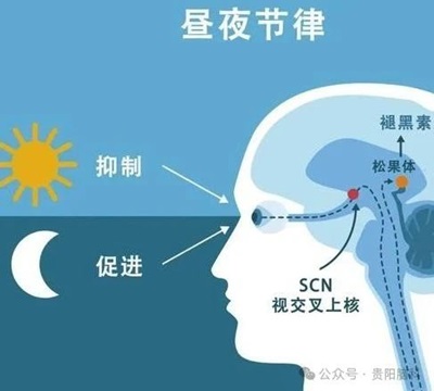 微信图片_20240322115557.jpg 微信图片_20240322115557.jpg
