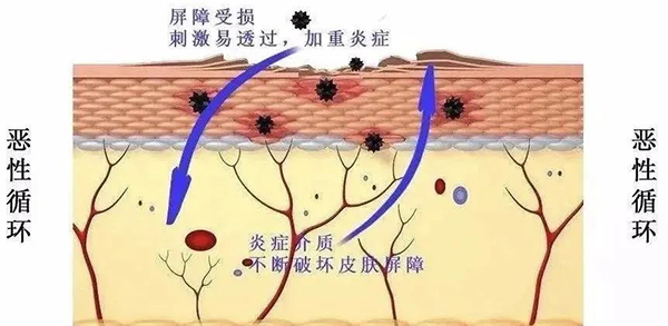 微信图片_20240409191903.jpg 微信图片_20240409191903.jpg