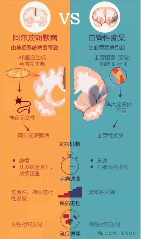 微信图片_20240409191917.jpg 微信图片_20240409191917.jpg