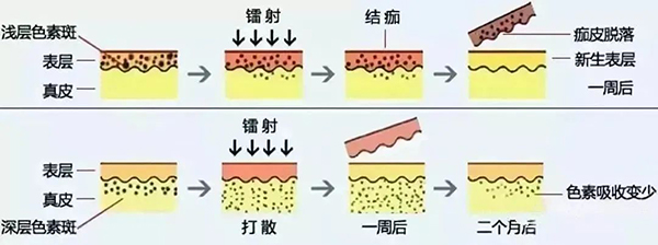 微信图片_20240411081249.jpg 微信图片_20240411081249.jpg