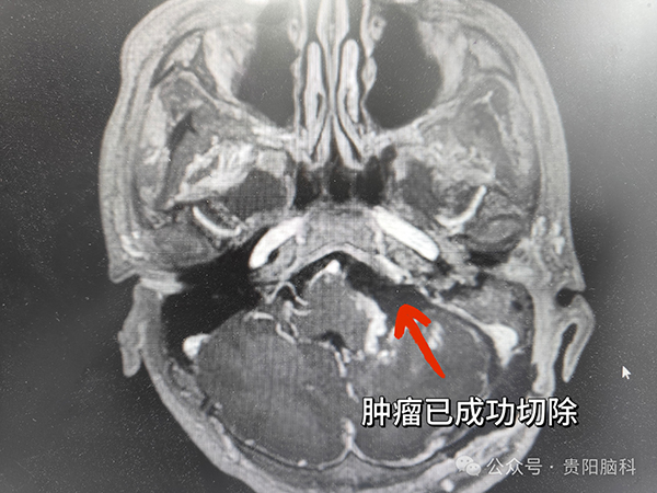微信图片_20240415122300.jpg 微信图片_20240415122300.jpg