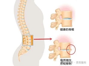 微信图片_20240423165259.jpg 微信图片_20240423165259.jpg