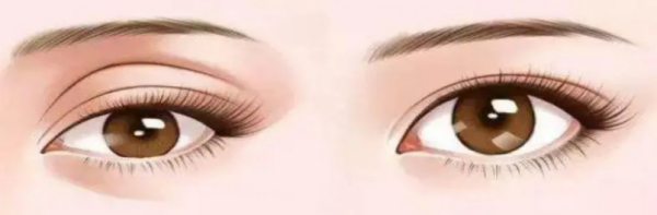 图片 19.png 图片 19.png