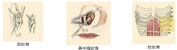 微信图片_20240514191026.png