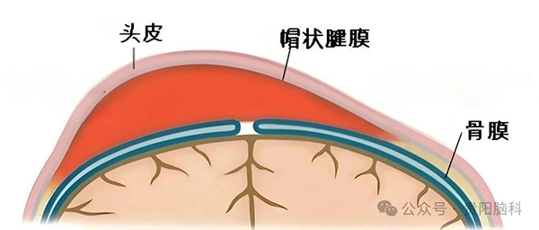 微信图片_20240612085608.jpg 微信图片_20240612085608.jpg