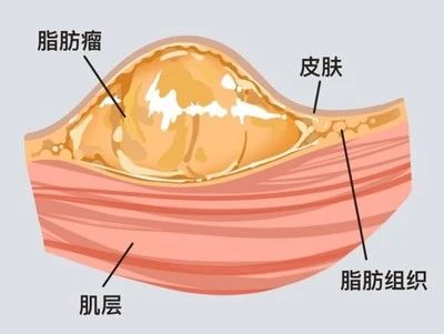 微信图片_20240618172107.jpg 微信图片_20240618172107.jpg