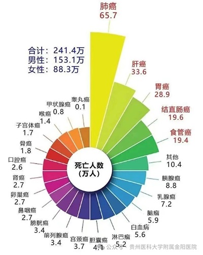 微信图片_20240718135237.jpg 微信图片_20240718135237.jpg