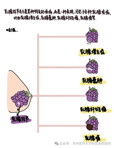 微信图片_20240725134430.jpg 微信图片_20240725134430.jpg