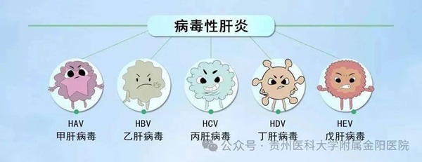 微信图片_20240731075021.jpg