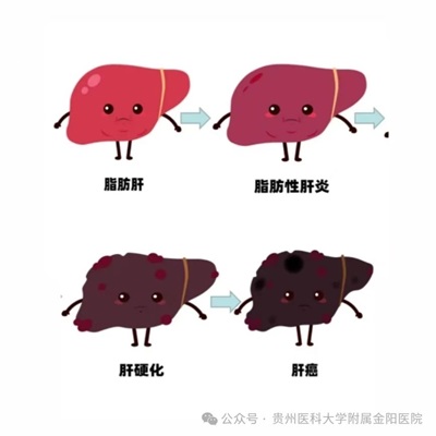 微信图片_20240805193830.jpg 微信图片_20240805193830.jpg