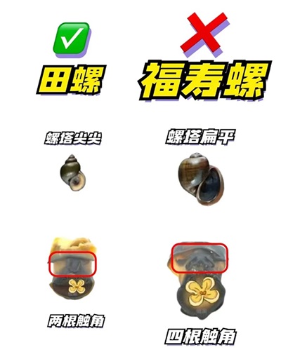 微信图片_20240805193844.jpg 微信图片_20240805193844.jpg