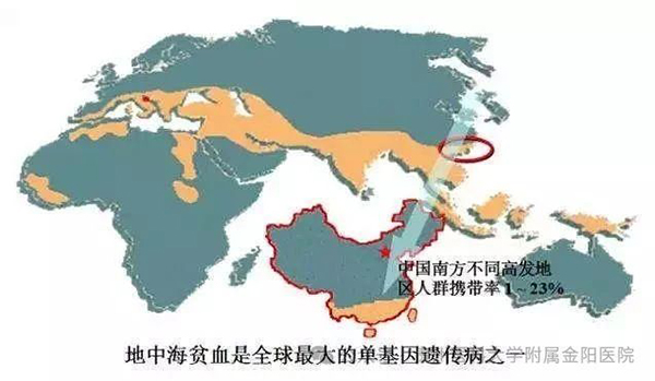 微信图片_20240812110958.jpg 微信图片_20240812110958.jpg
